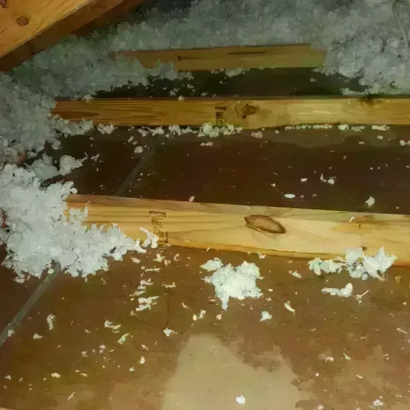 Attic Water Damage in Keaau, HI